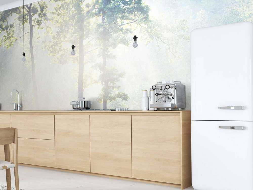 Una foresta misteriosa