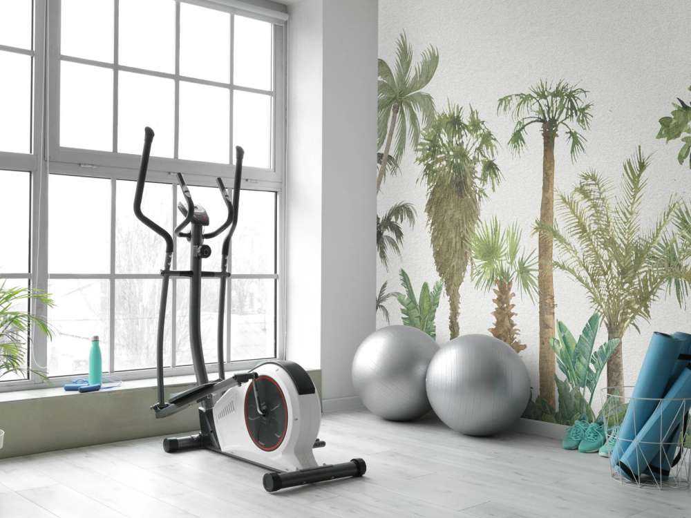 Alberi e piante tropicali