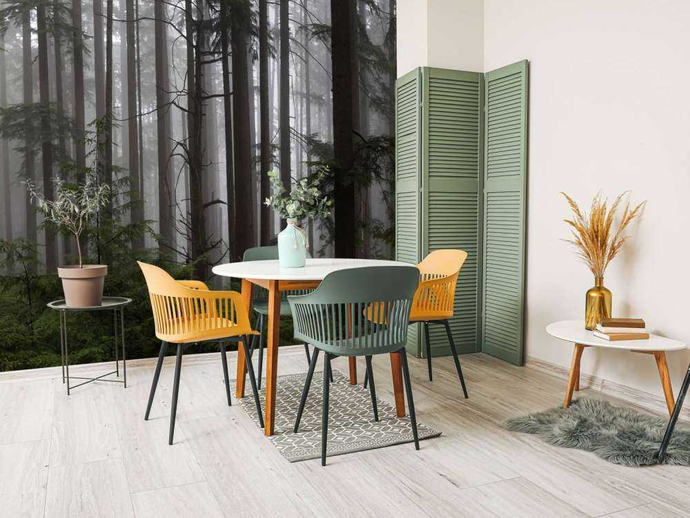 Foresta durante un giorno di nebbia