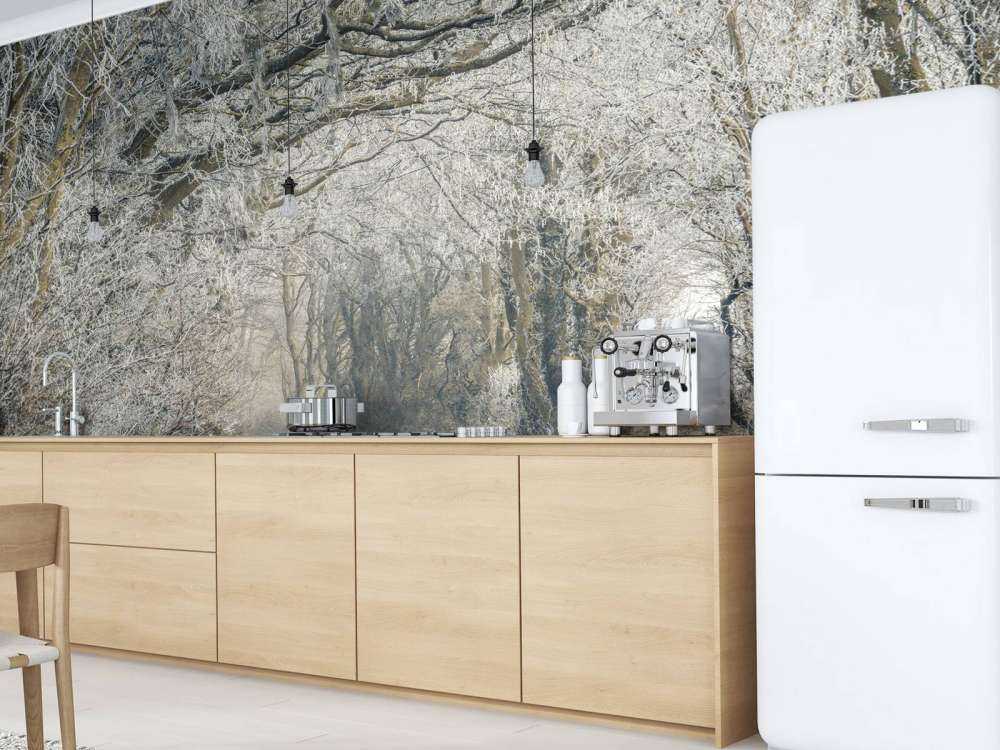 Strada ghiacciata attraverso la foresta