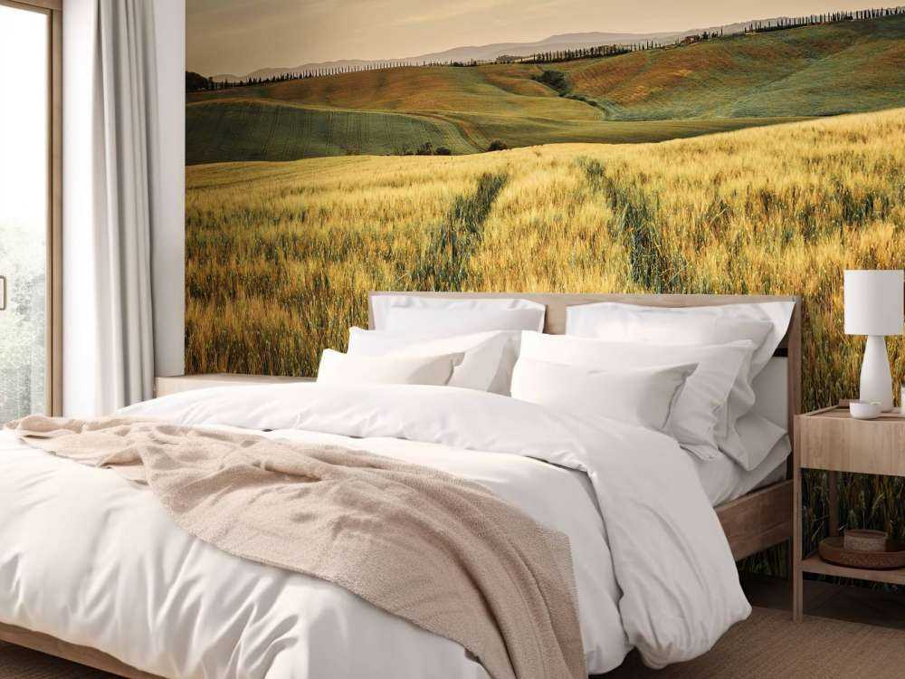 Campo di grano con binari