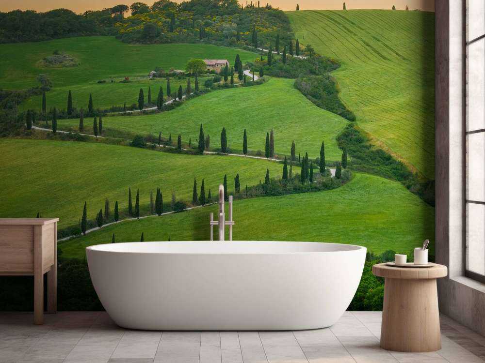 Strada tortuosa con cipressi