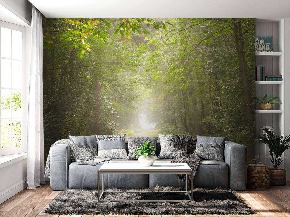 Sentiero attraverso la foresta nebbiosa