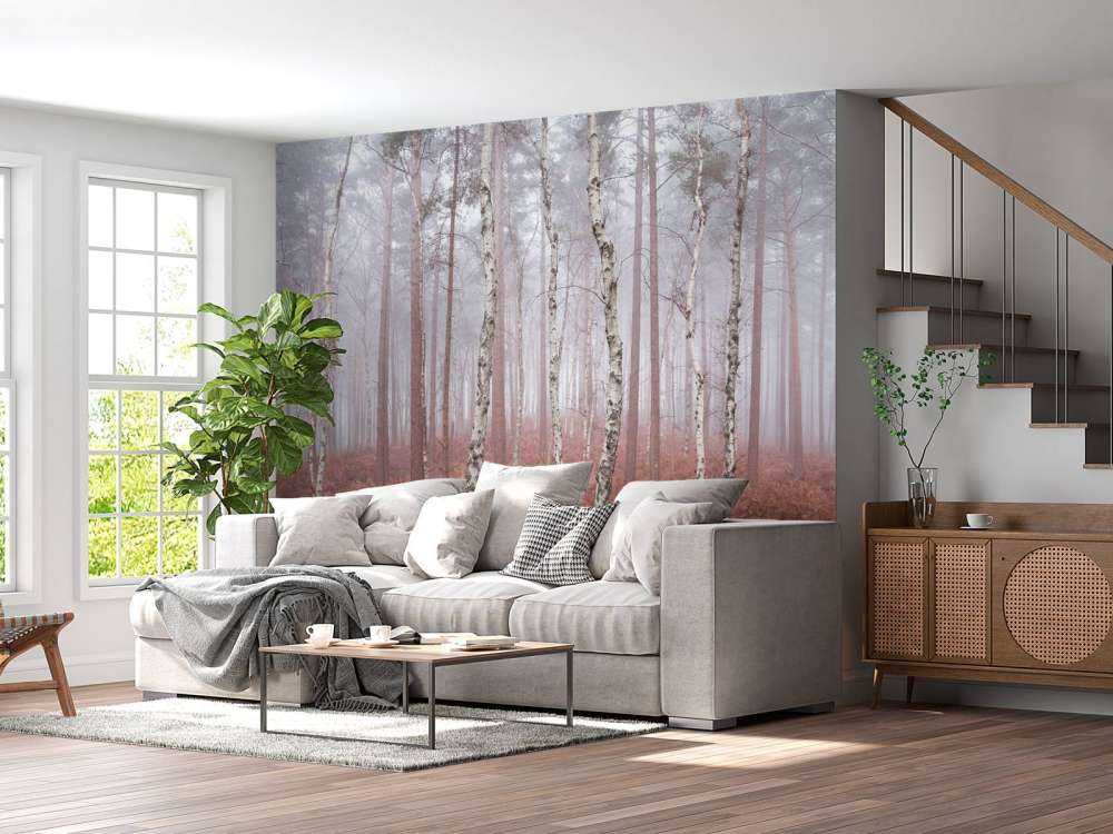 Foresta nebbiosa e deserta