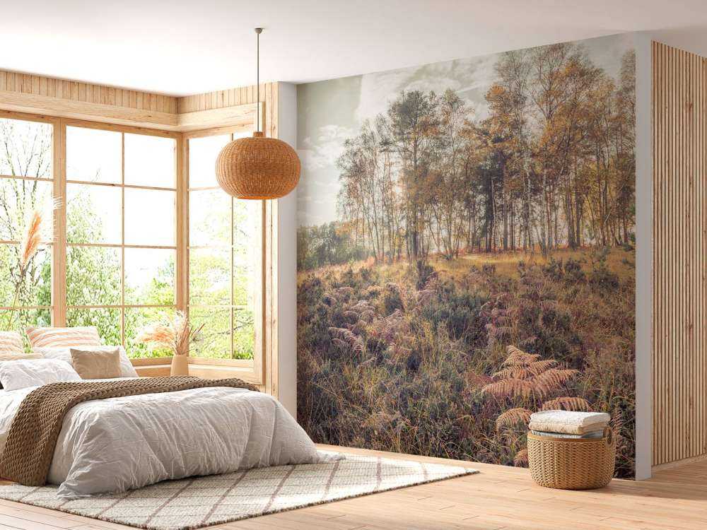 La foresta durante la mattina