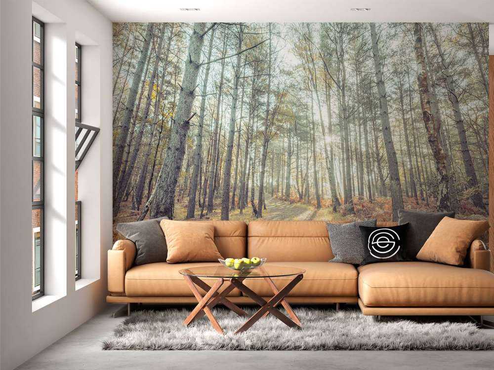 Sentiero attraverso il bosco soleggiato