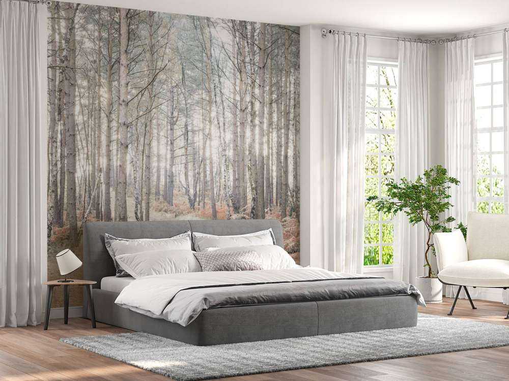 Sentiero sabbioso attraverso la foresta