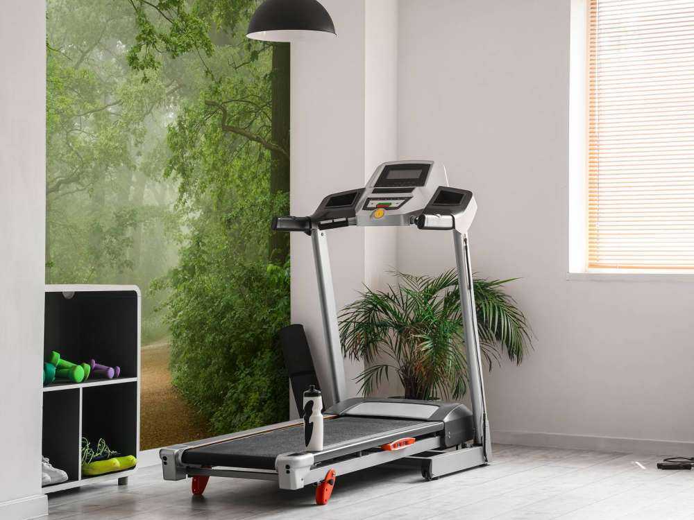 Foresta nebbiosa con sentiero