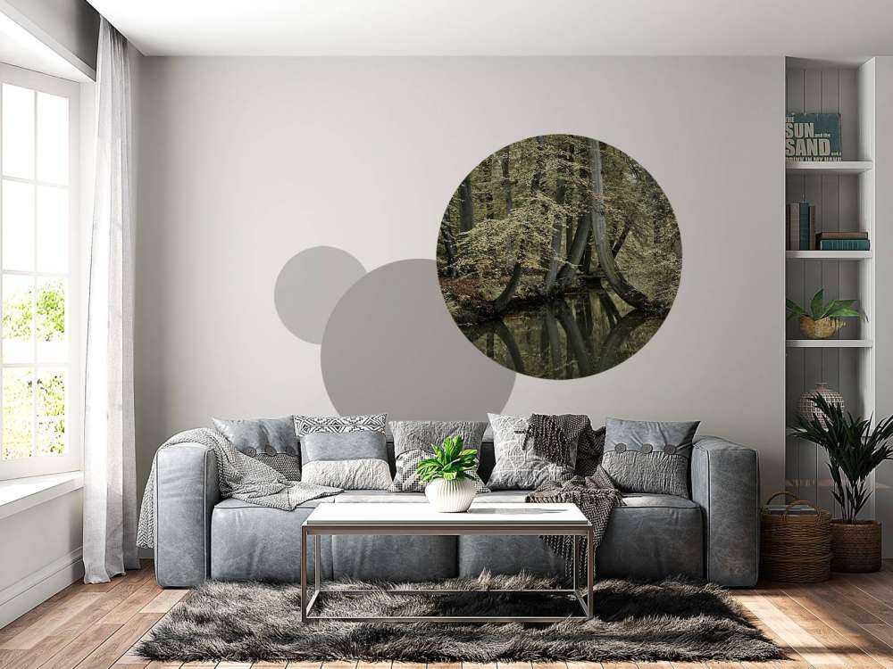 Ruscello con alberi sospesi