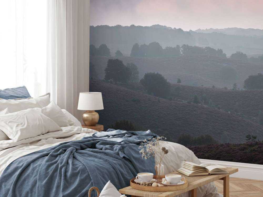 Alba nebbiosa sulla brughiera