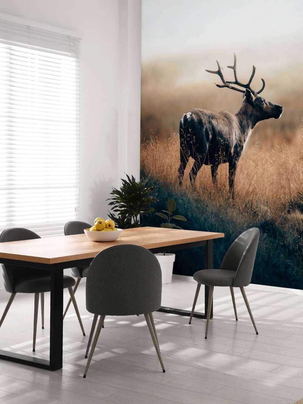 Renne nell'erba alta