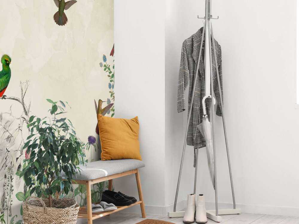 Campi di Uccelli Colorati