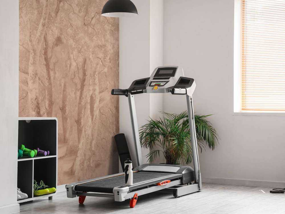 Paesaggio Forestale Terra Panorama