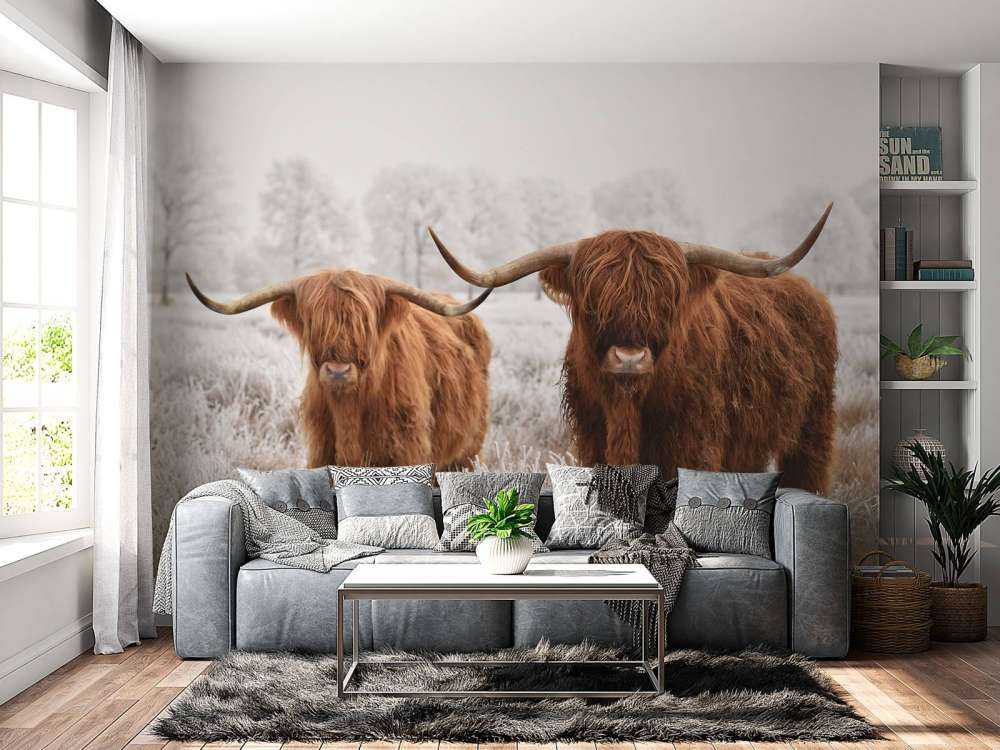 Highlander Invernale