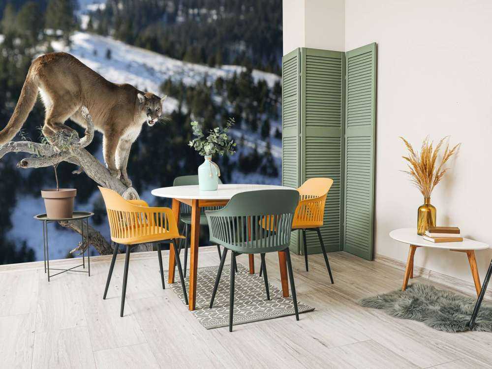 Leone di montagna su un albero morto