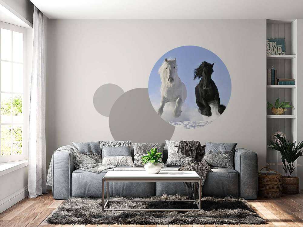 Bianco e cavallo nero