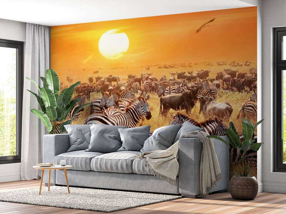 Savana sole con zebre