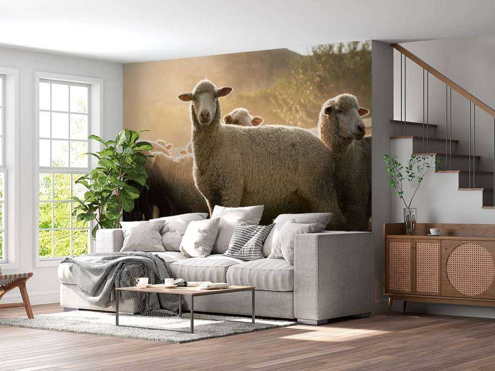 Gregge di pecore con l'ora d'oro