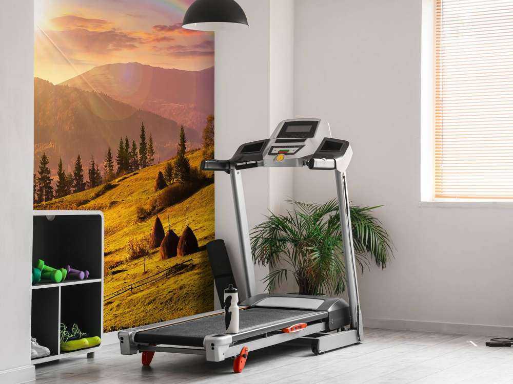 Covoni nel paesaggio di montagna