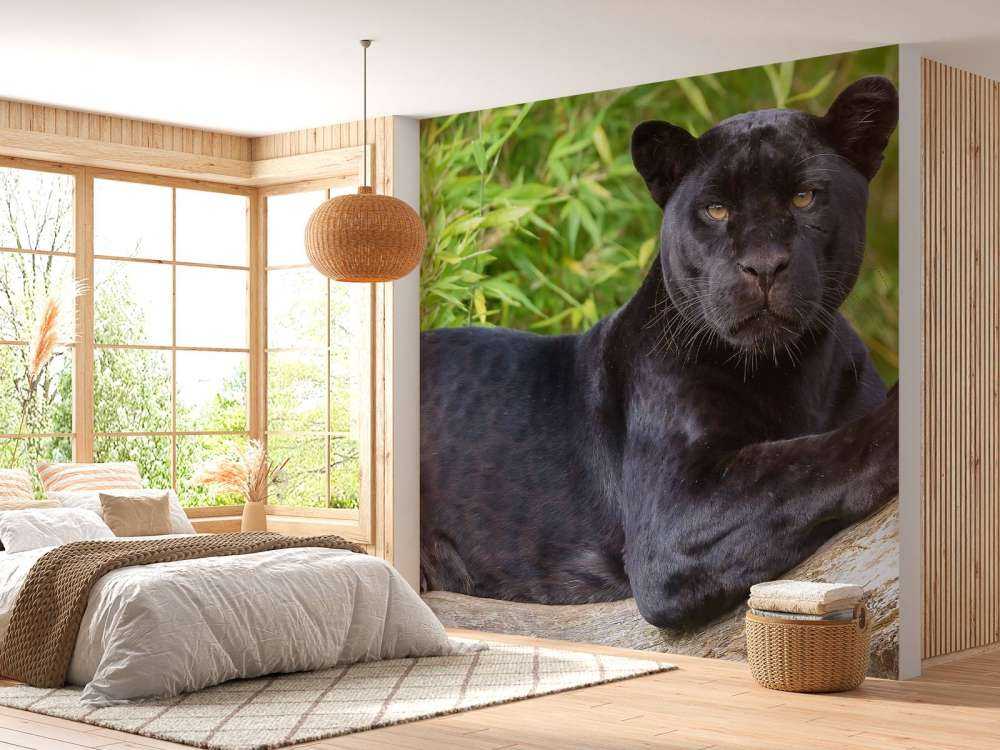 Pantera nera su un albero