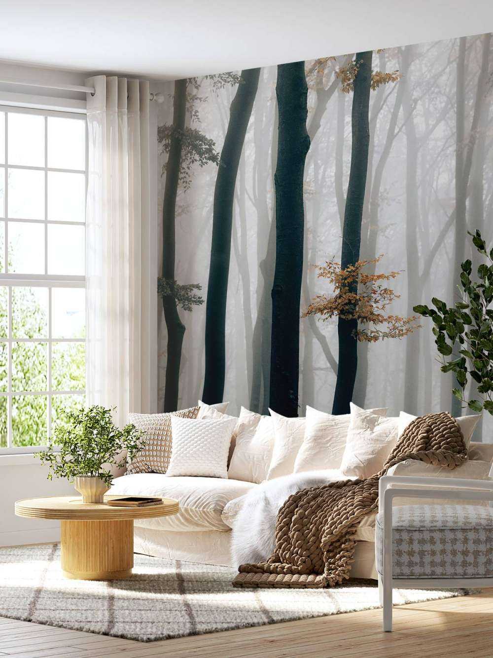 Nebbia nella foresta di faggi