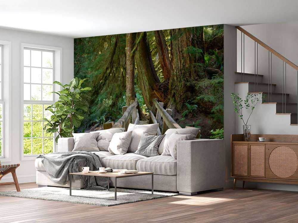 Ponte di legno attraverso la foresta 