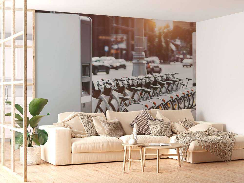 Bici elettriche a noleggio