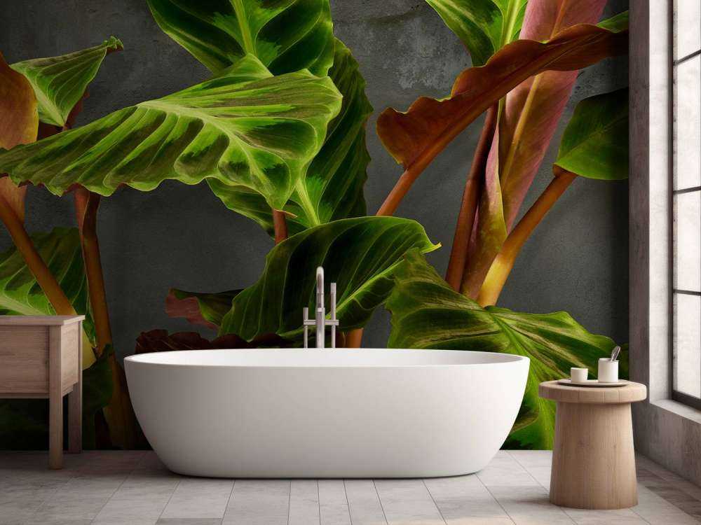 Pianta con belle foglie verdi