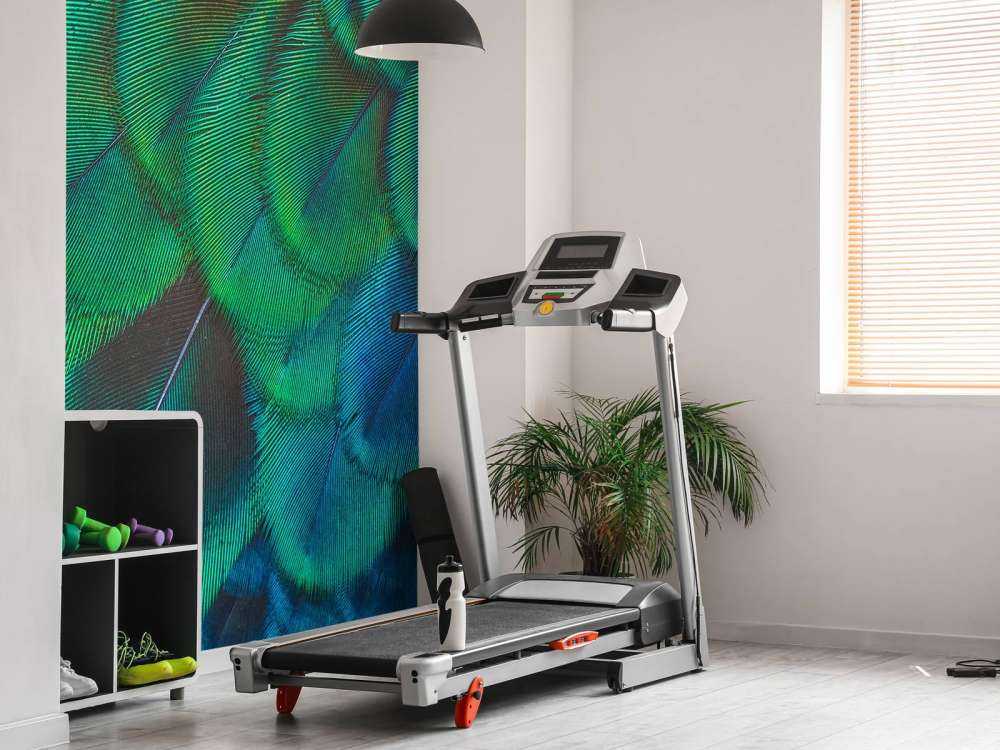 Primo piano di piume di pavone