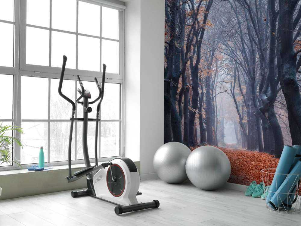 Sentiero forestale con foglie