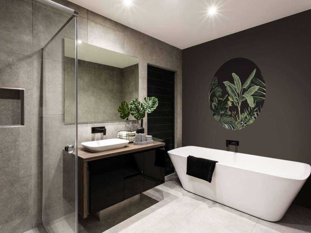 Palma tropicale su sfondo scuro