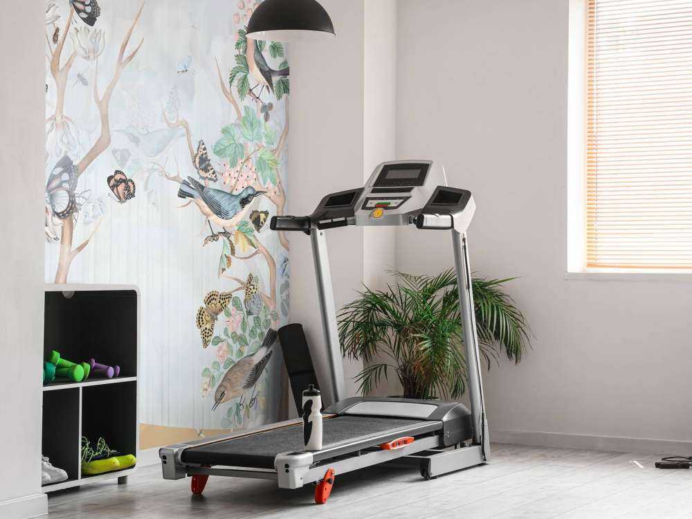 Paradiso di Uccelli e Farfalle