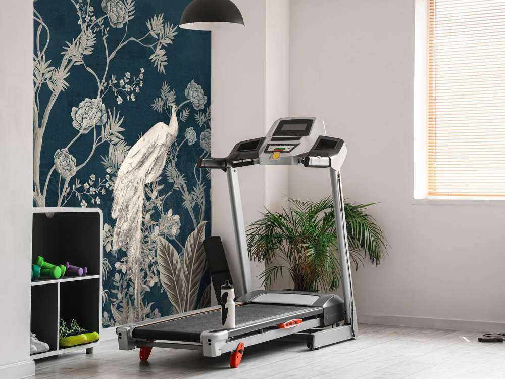 Splendore del Pavone nel Giardino Notturno