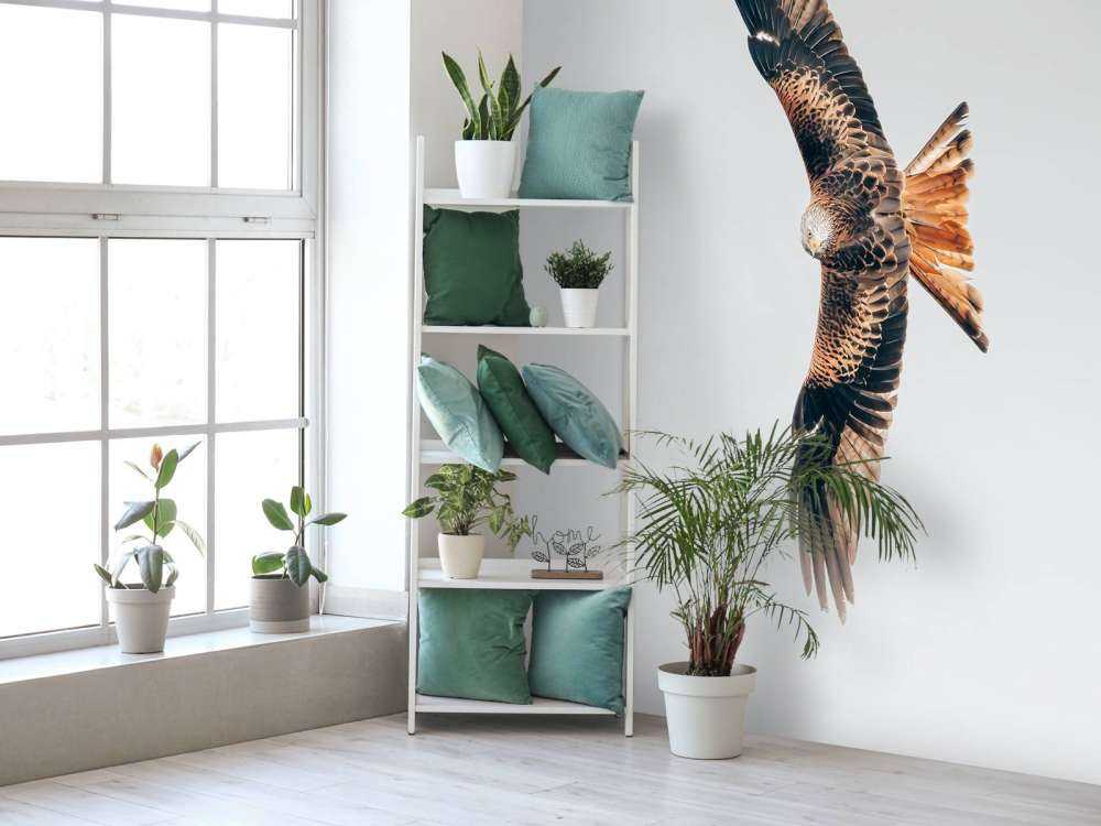 Nibbio rosso ad ali spiegate