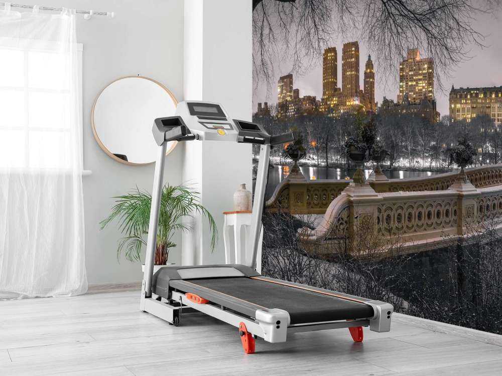 Central Park e Manhattan