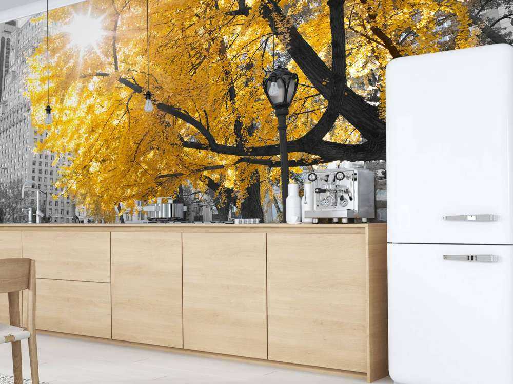 Un sentiero attraverso Central Park