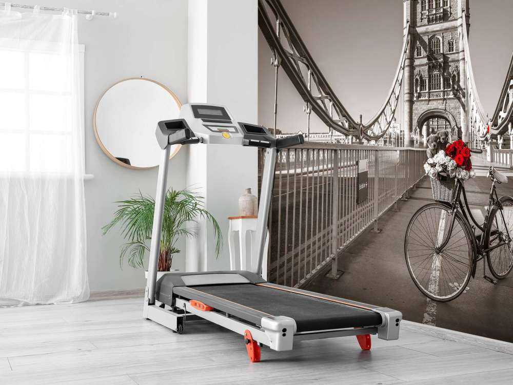 Cuccioli in un cestino da bicicletta