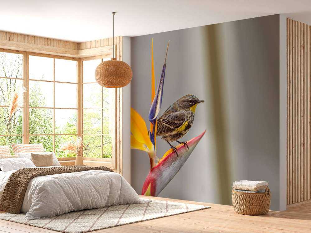 Fiore del paradiso con uccello