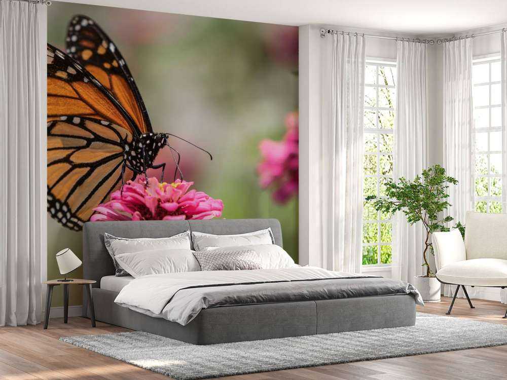 Una farfalla monarca