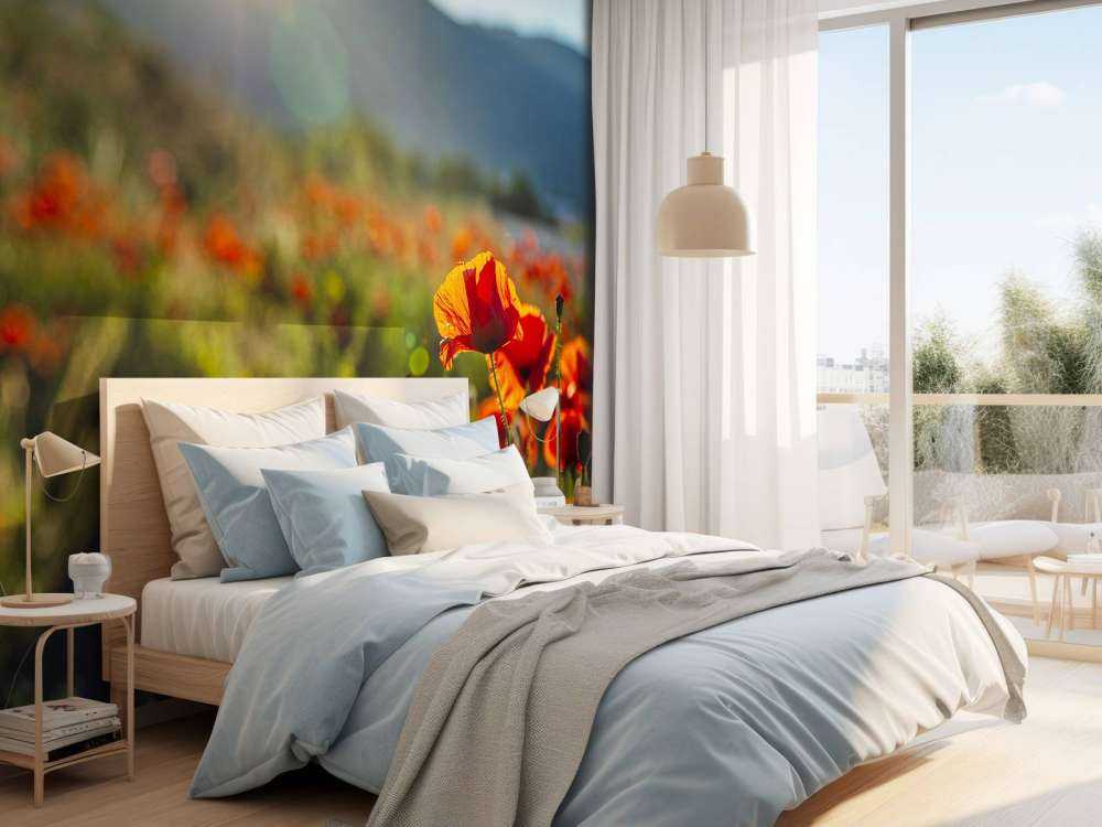 Papaveri con raggi di sole