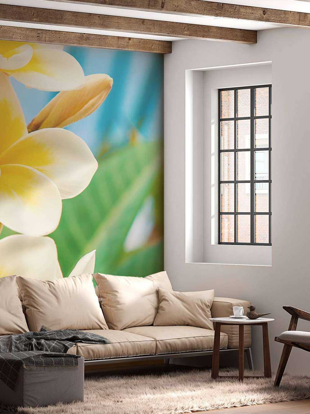 Fiore di plumeria bianco e giallo