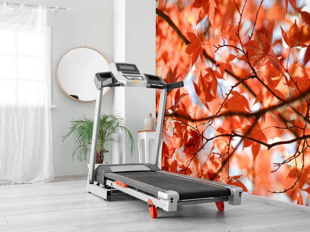 Foglie autunnali colorate