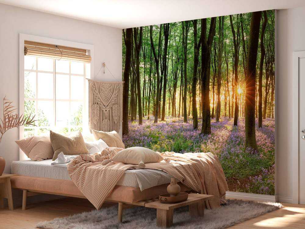 Sentiero della foresta all'alba