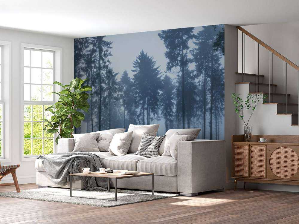 Il paesaggio nebbioso