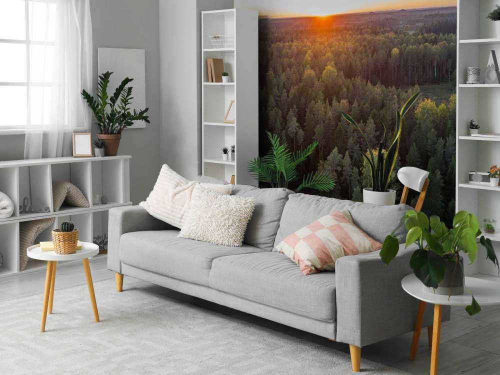 Foto aerea di alberi autunnali