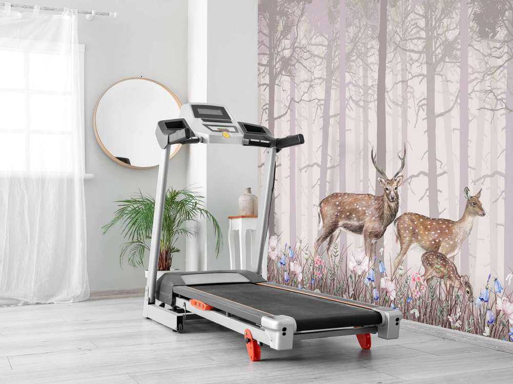 Famiglia dei cervi, rosa