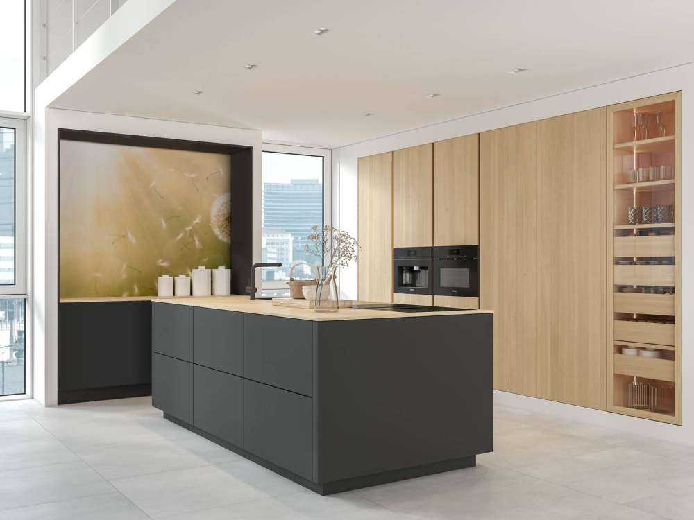 Dente di leone nel vento