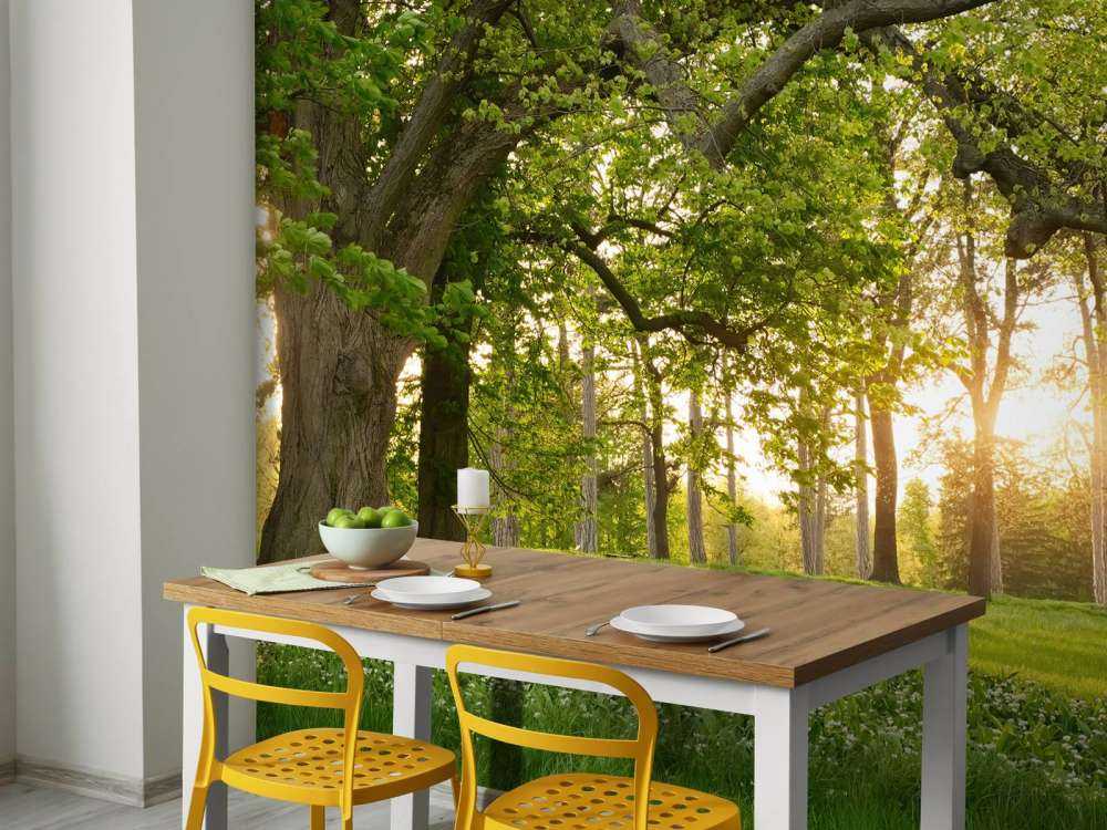 Spazio aperto nella foresta