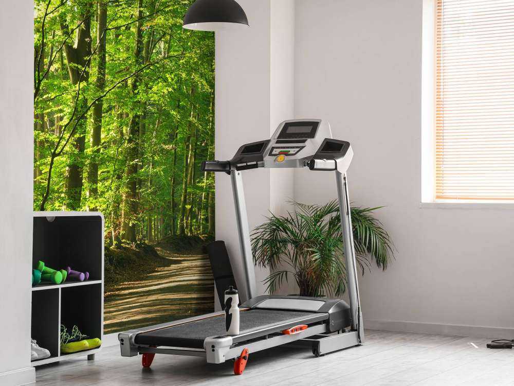 Strada soleggiata attraverso una foresta