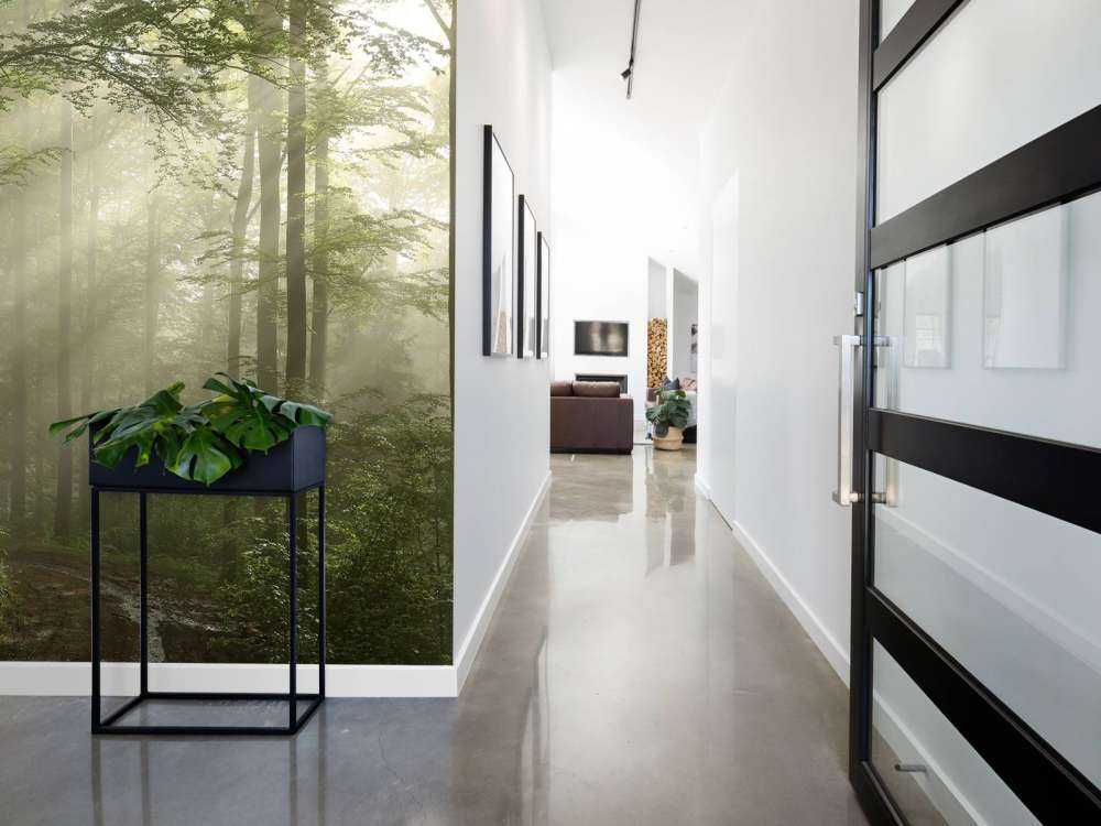 Foresta verde nella nebbia